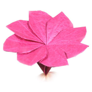 origami clematis flower