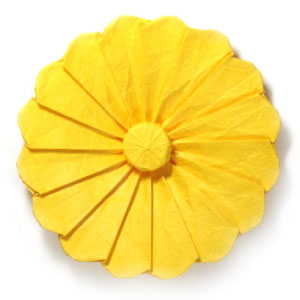 origami daisy flower III