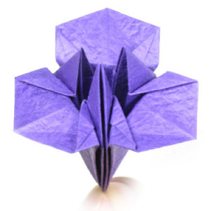 origami iris flower