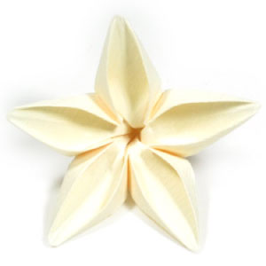origami jasmine flower