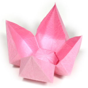 easy origami lotus flower