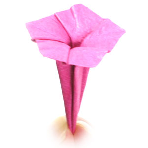 origami flower, mirabilis jalapa