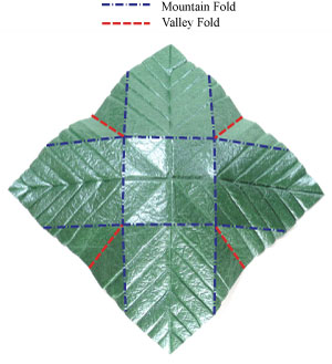 27th picture of quadruple origami leaf III